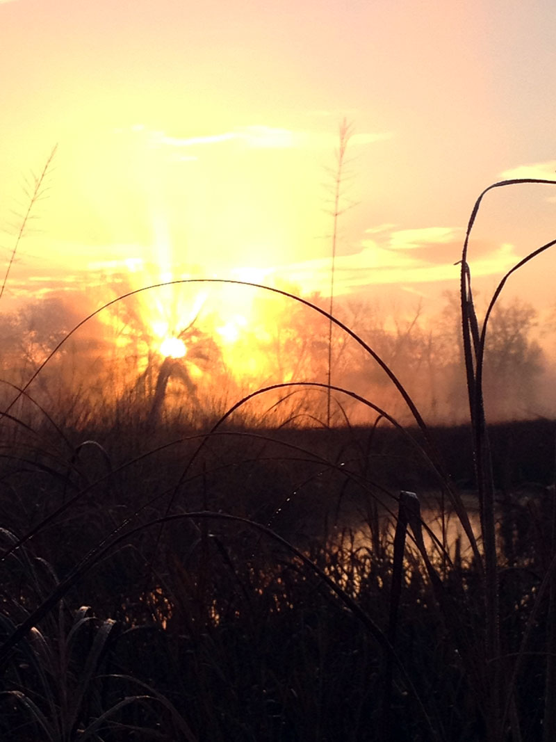 rwwl sunset image