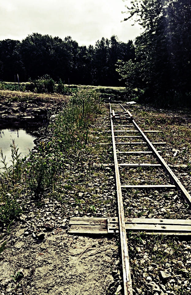 tracks